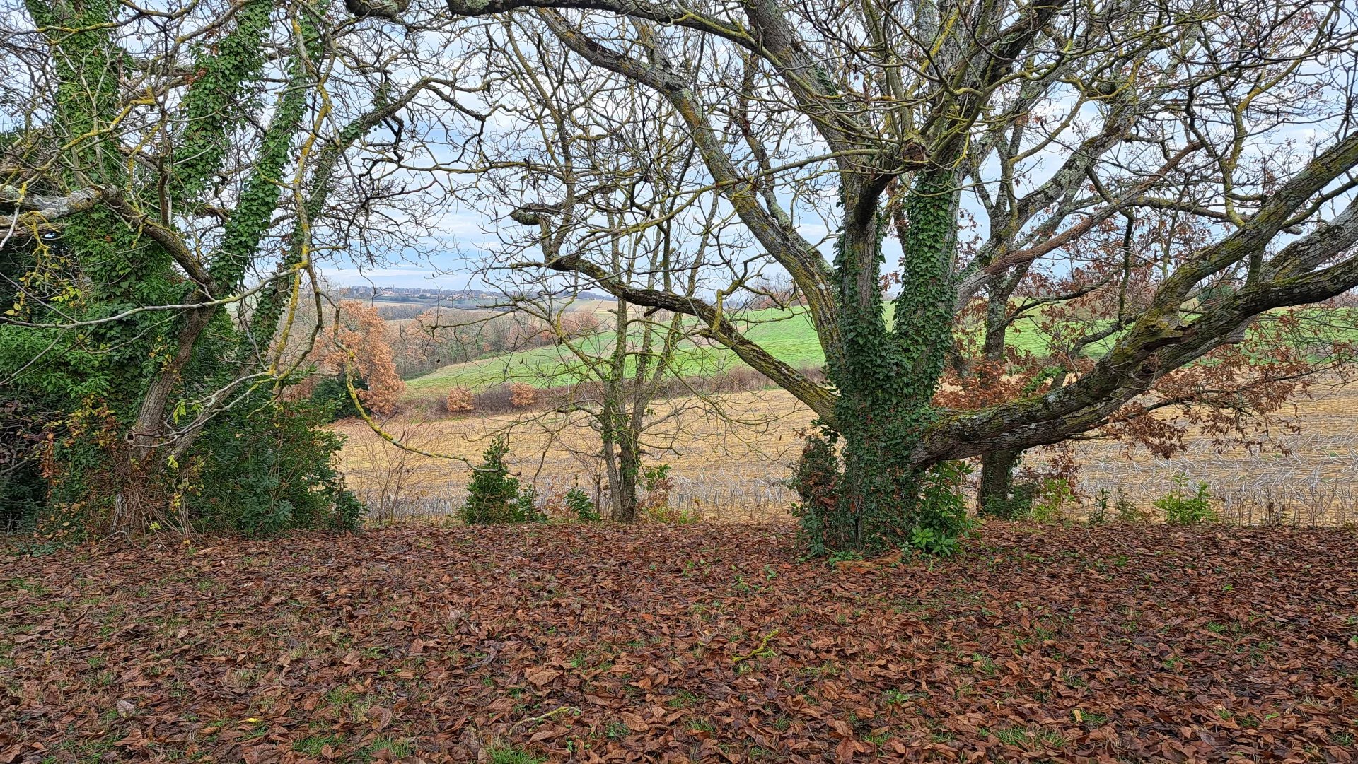 FERME A RENOVER AVEC 4,5 HECTARES