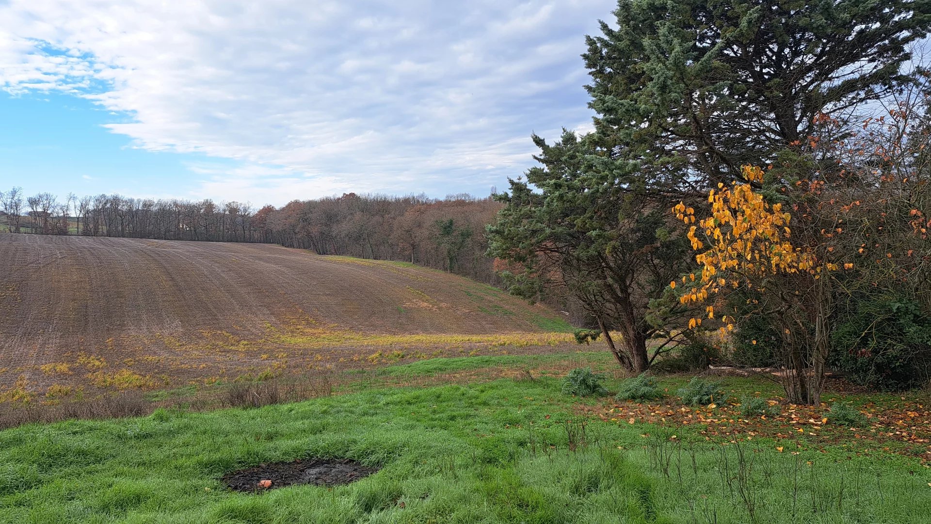 FERME A RENOVER AVEC 4,5 HECTARES