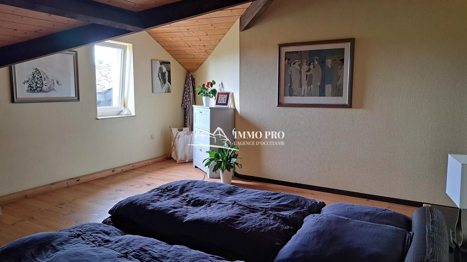 EXCEPTIONAL SITE with PYRENEES VIEW on 2.6HA + GITE