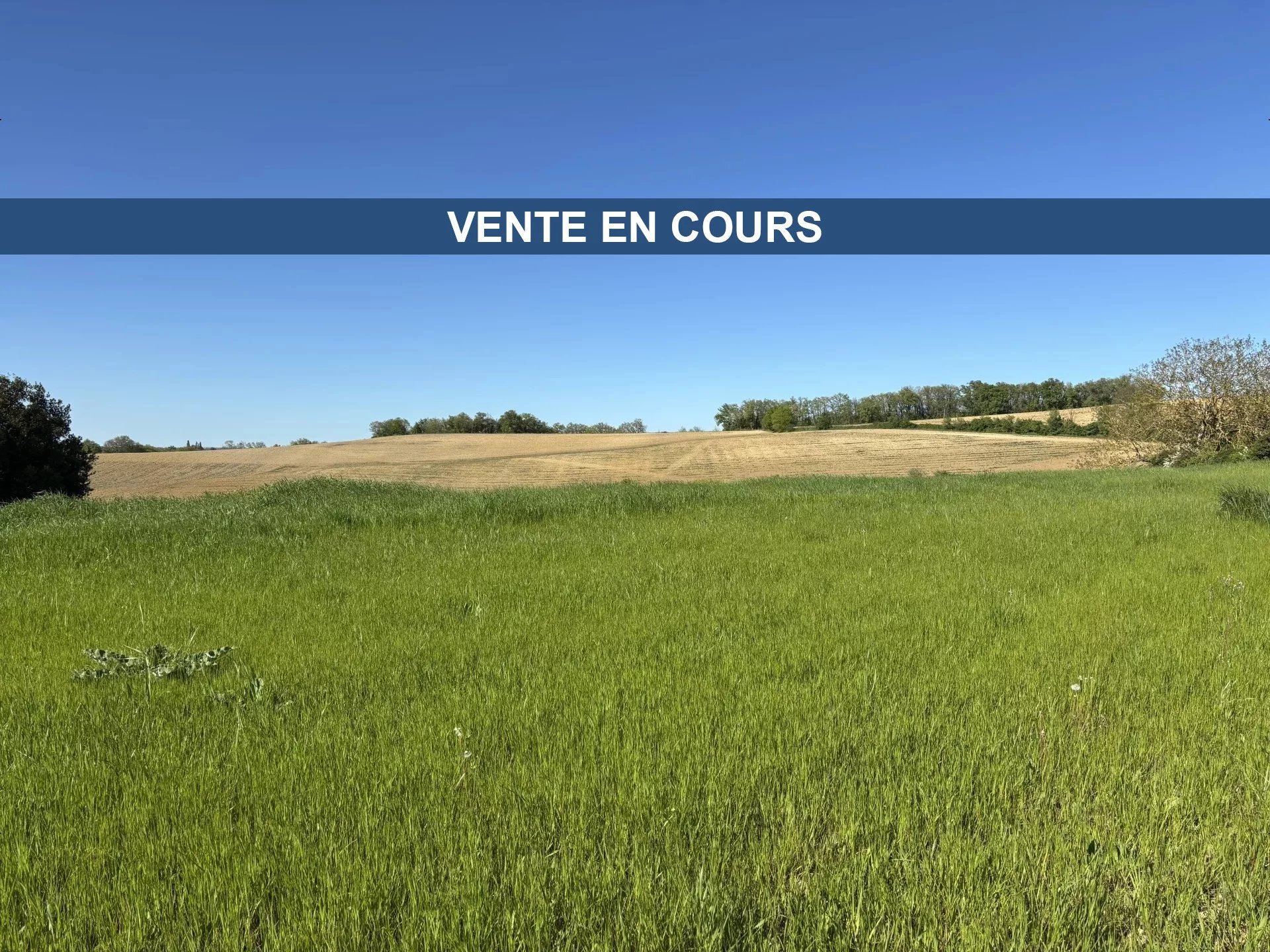 Terrain constructible