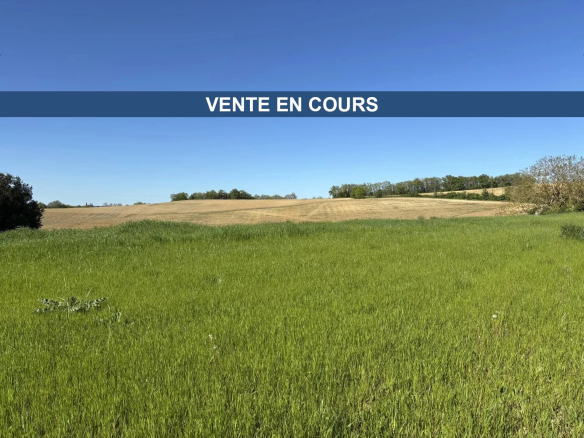 Terrain constructible