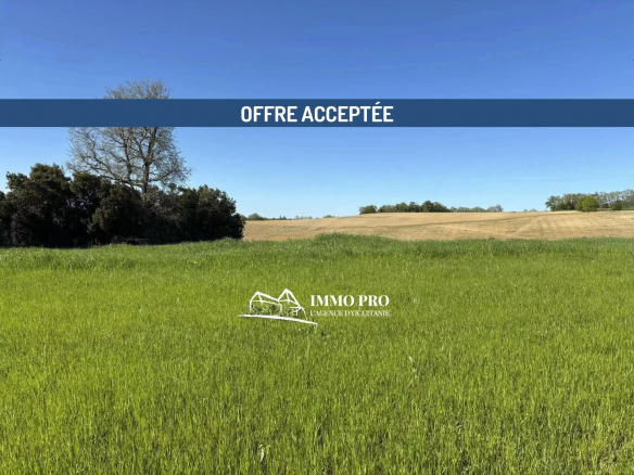 Terrain constructible