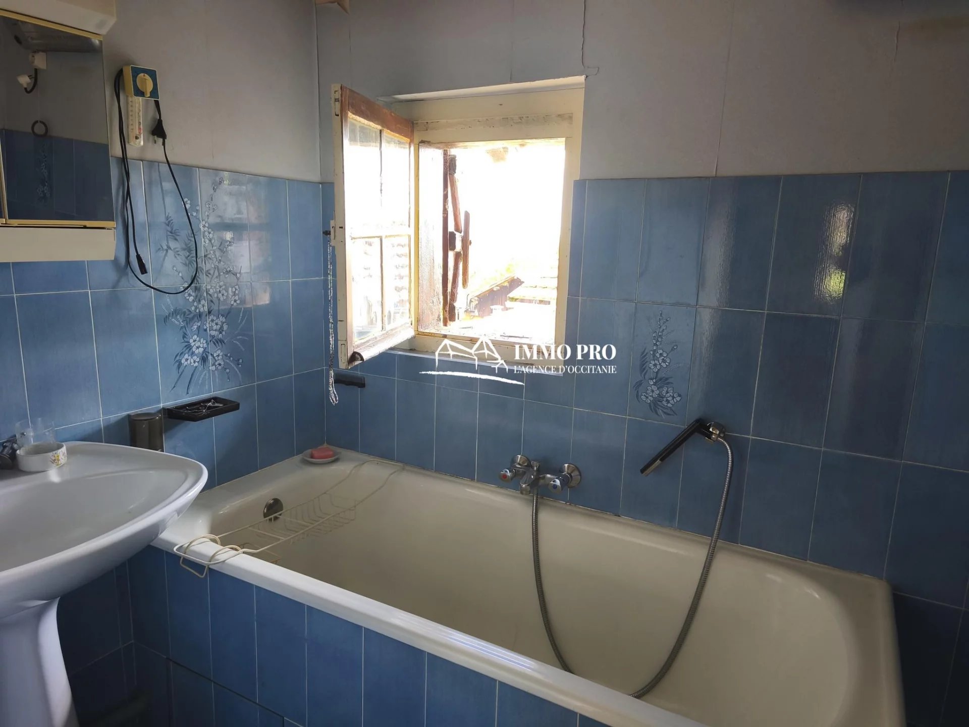 5df96a5cf78457142552e13b583853a6_acc458dc51_1920-original-85440 ISLE-EN-DODON – House with Garden