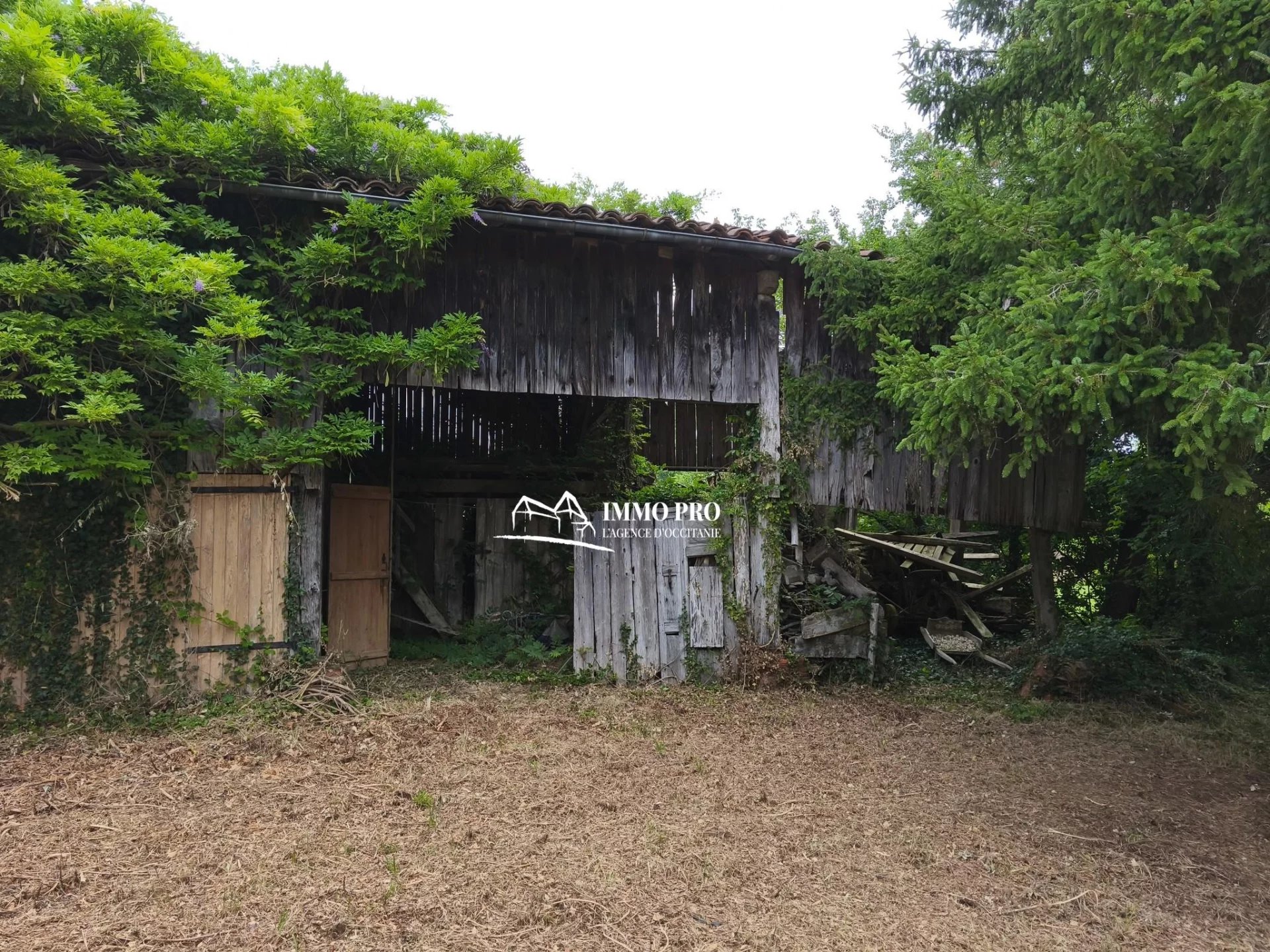 d2471d4192e20ddd1e7fe356d088d746_14654b5cff_1920-original-91071 SAMATAN Maison avec Grange sur 4,6 Hectares