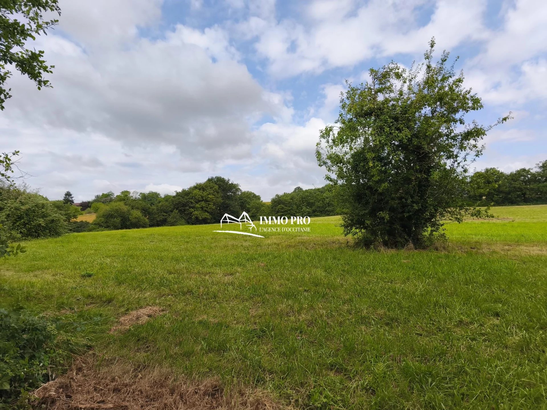 da4455915203e640506472f9e1842807_c95892d8e7_1920-original-91071 SAMATAN Maison avec Grange sur 4,6 Hectares