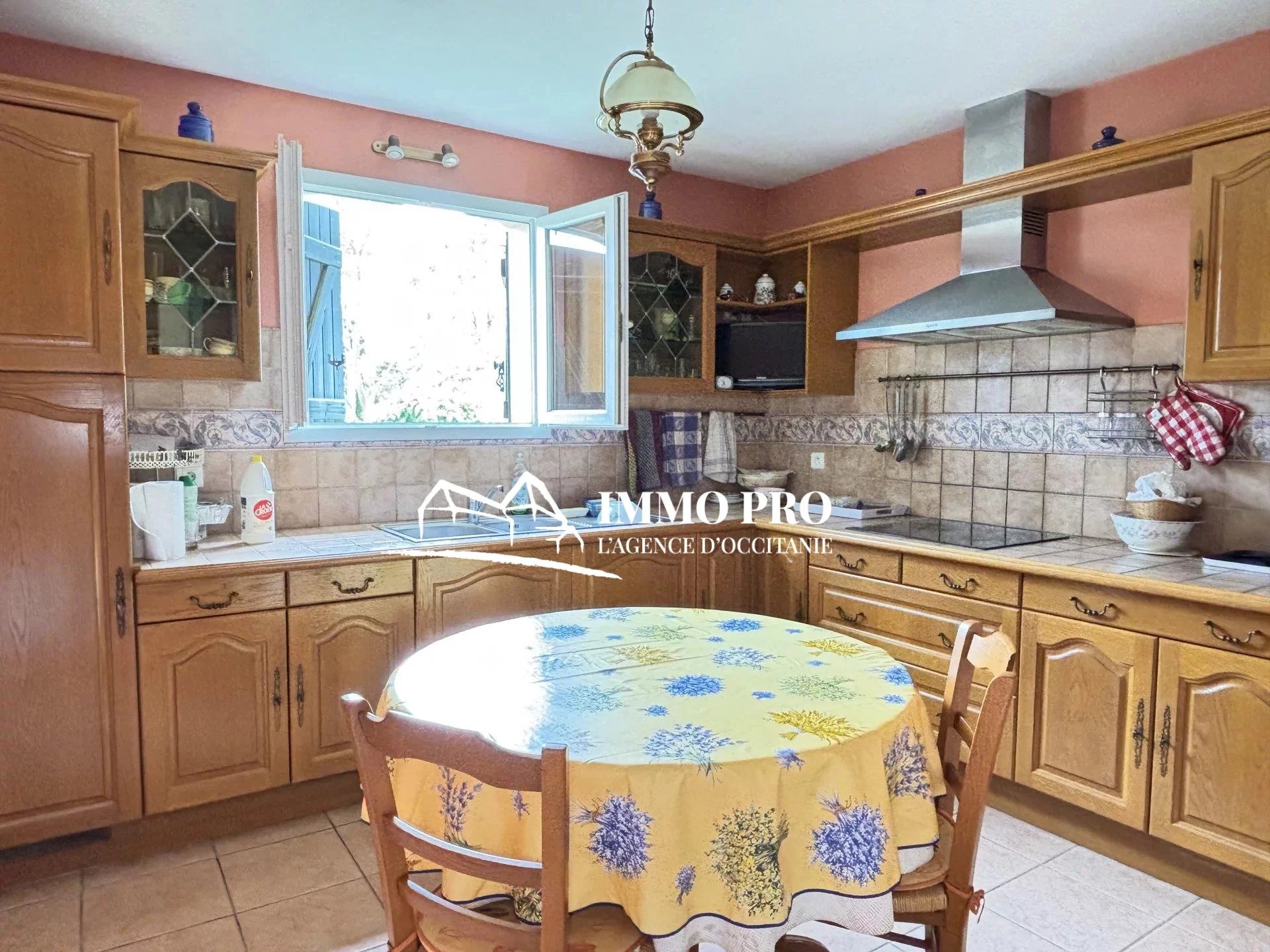 ff8edd3c78e289215ac89ee72c11d1cd_c9def0517b_1920-original-82794 L’ISLE JOURDAIN Maison de campagne – Vue Pyrénées