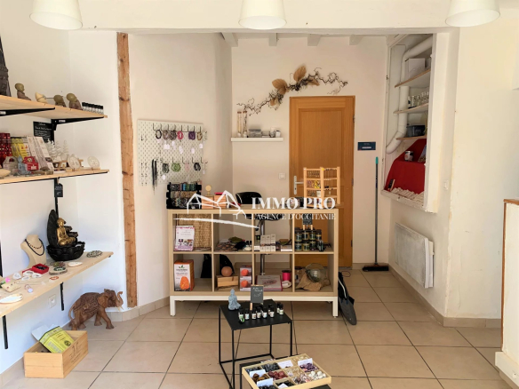 Local Professionnel
