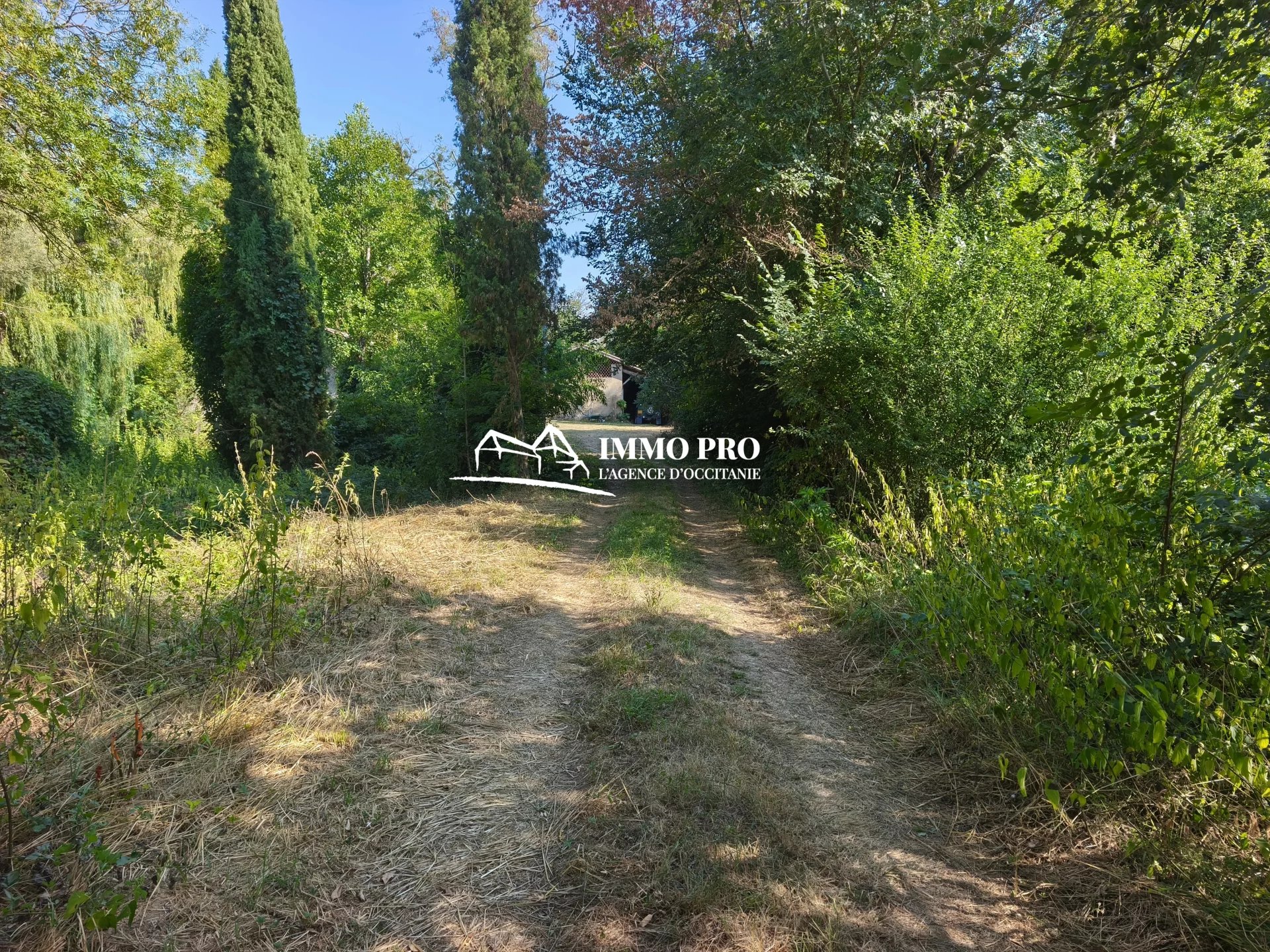 A rénover Moulin XVIIIe & Grange sur 5HA