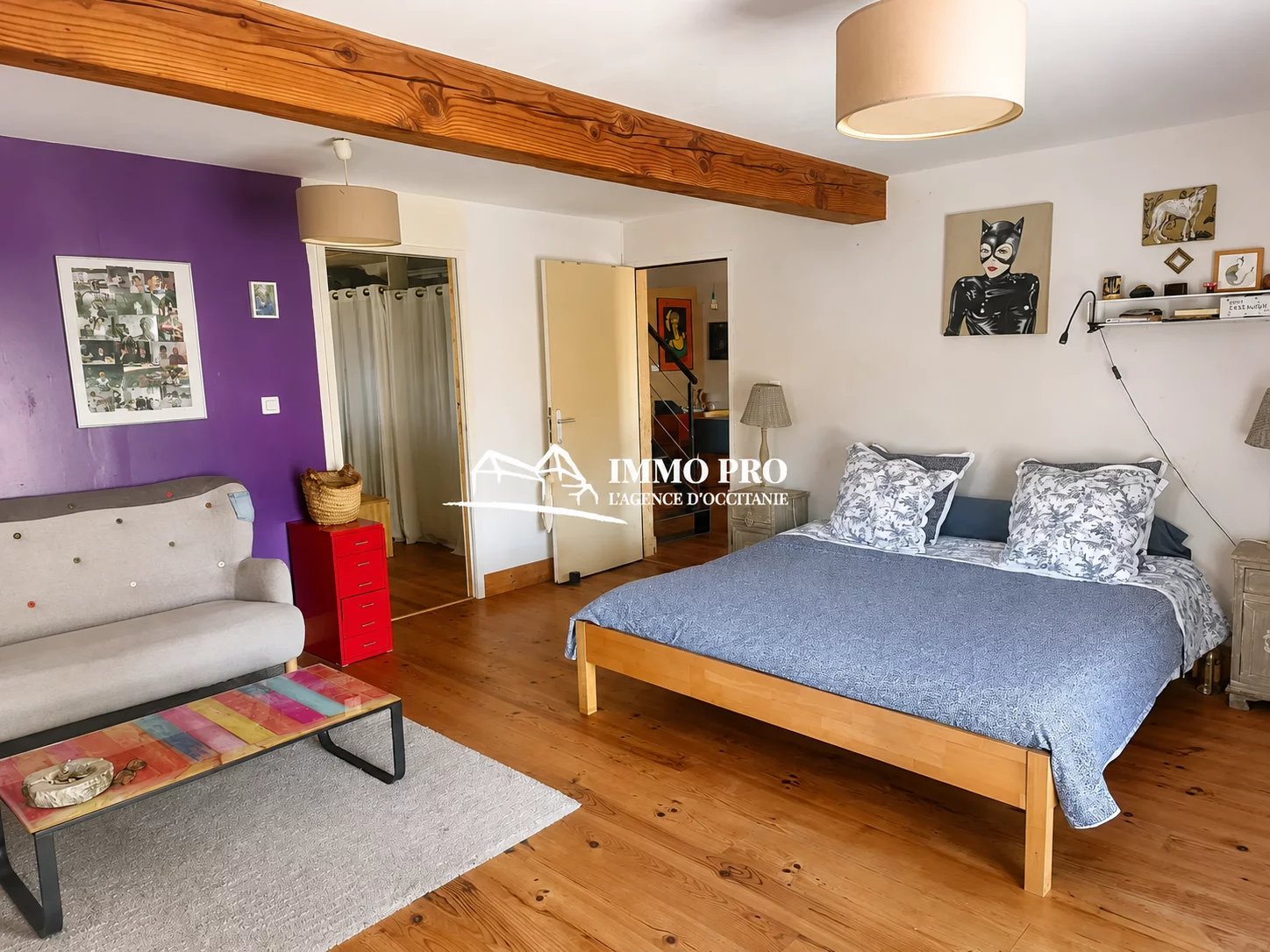 Samatan  Maison rénovée et son couloir de nage  VUE PYRENEES