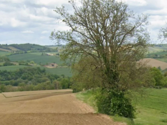 Terrain agricole 26958m²