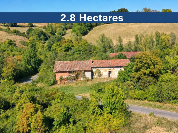 Samatan    Ferme Gasconne & Grange sur 2,8HA