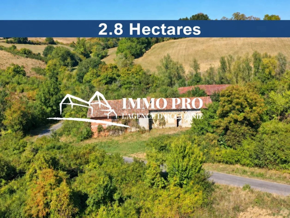 Samatan    Ferme Gasconne & Grange sur 2,8HA